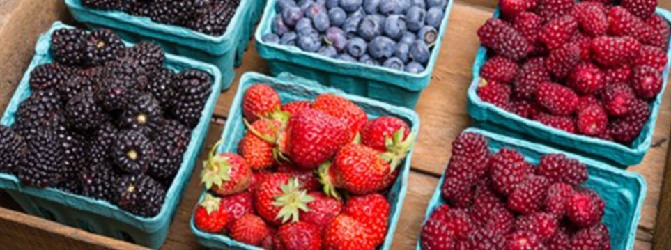 Lean para aumento de produtividade traz bons "frutos" para a Vilkun