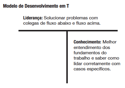 Modelo de desenvolvimento em T