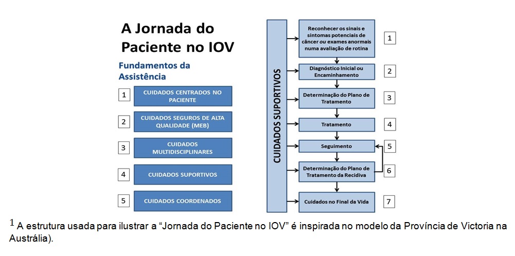 A Jornada do Paciente no IOV