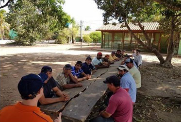 Gestão nas fazendas: plantando o lean no agronegócio