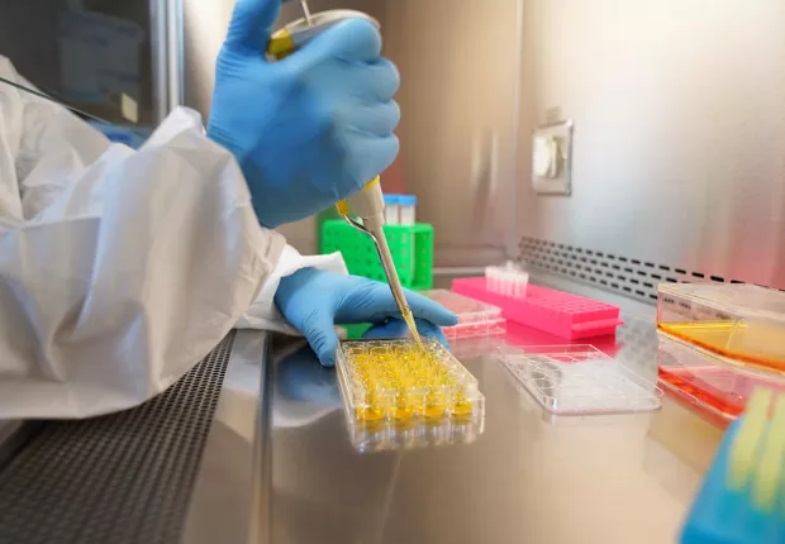 Covid-19 vai exigir evolução da gestão das cadeias de suprimentos